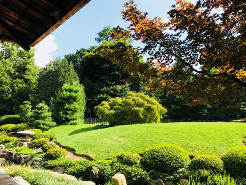 Philadelphia Diaries