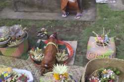 photo blog: upacara otonan agus wahyu plus mebayuh di klungkung part.01