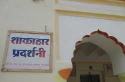 Photo- essay : ‘Shakahar pradarshani’ in Jain Group of Temples, Khajuraho