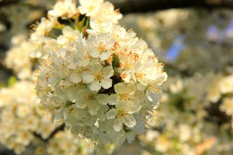 Photo Essay Of Our Spring Break Europe Road Trip