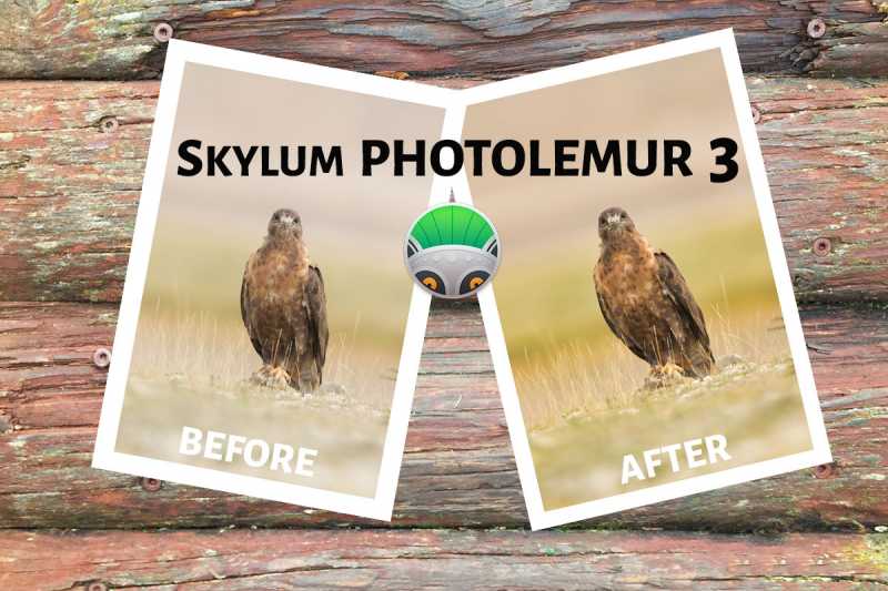 PhotoLemur 3- Are You Looking For An Automated Photo Editor? - PhotographyAxis