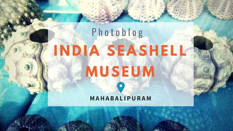 Photoblog:- India Seashell Museum - Pack-Ur-Bags