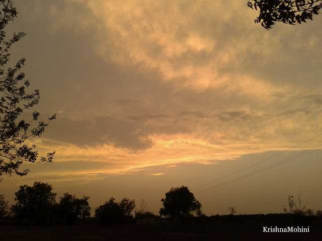 Photoblog: The Posed And The Unposed 