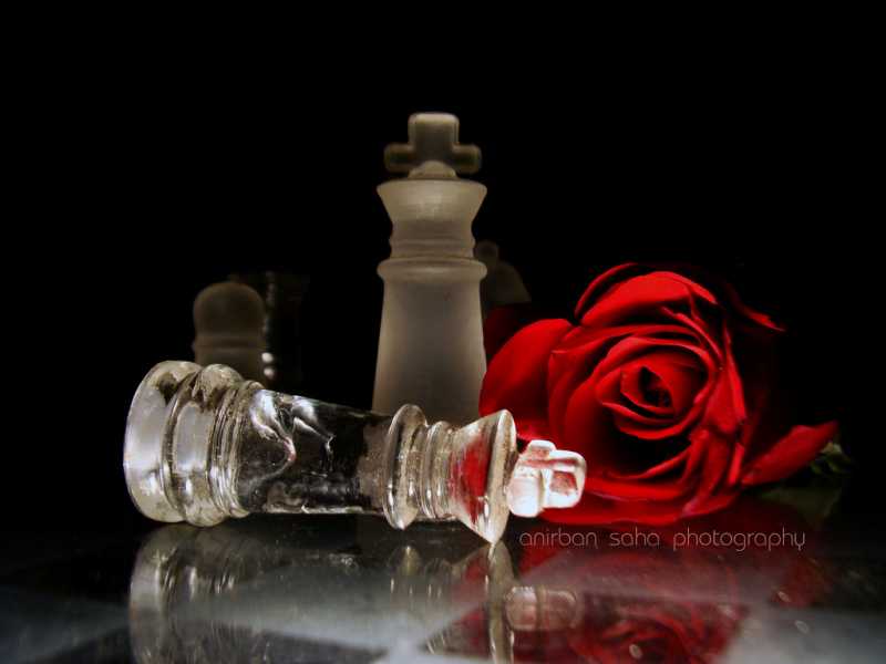 Photograph Of The Month 5