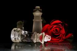 Photograph of the Month 5