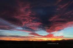 Photographs – How many is too many?