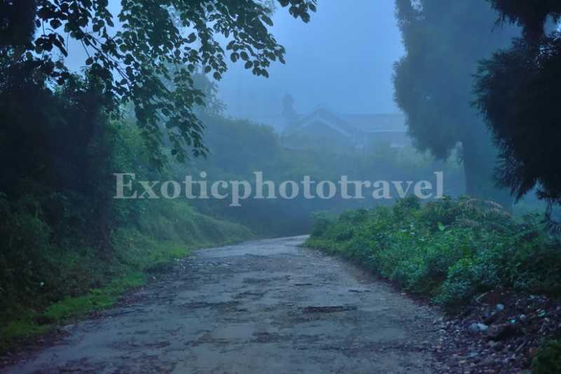 Photography And Sightseeing Tour Around Takdah, Darjeeling - EXOTIC PHOTO TRAVEL