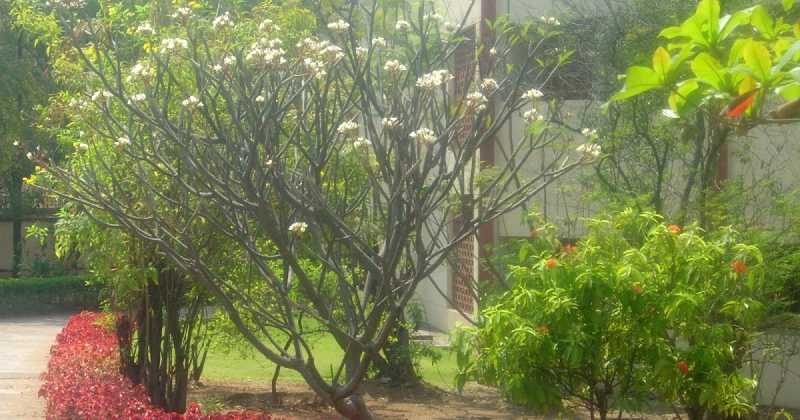 Photos:Flowers In February 2016 - Part 2!!