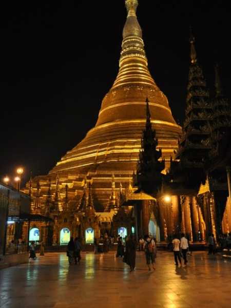 Picture Of The Week #74