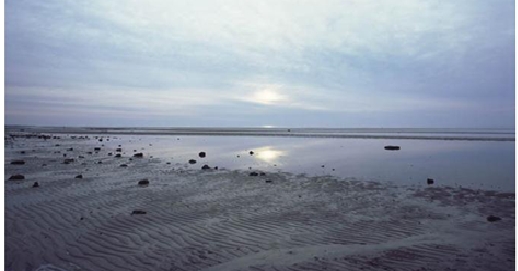 Piku, Parenting And The Elusive Art Of Letting Go...