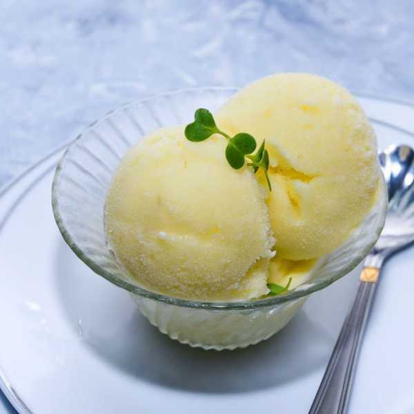 Pineapple Sorbet