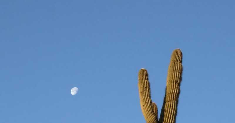 Pinnacle Peak Trail Hike, Scottsdale - Arizona
