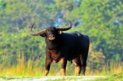 places to visit in guwahati » jaunt monkey