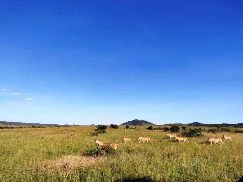 Planning A Trip To Kenya- Hakuna Matata ;)