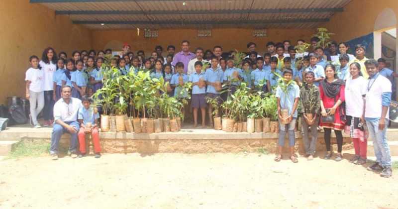 Plantation Drive On World Environment Day