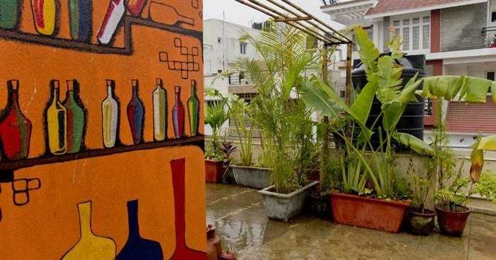 Plants In Your Decor