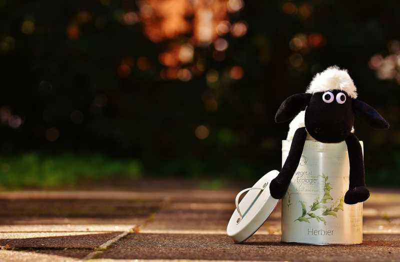 Poem With My Own Rhyme