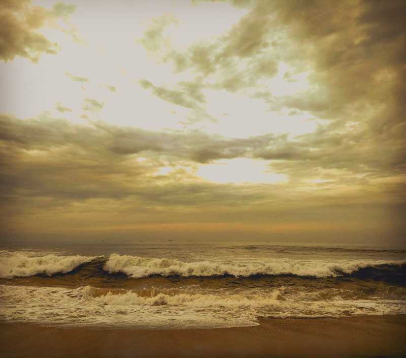 Poetry: Wired To Be Hypocrites