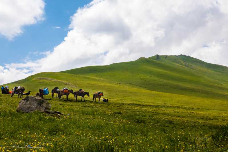 Pointers To Know Before Trekking In Kashmir For The First Time