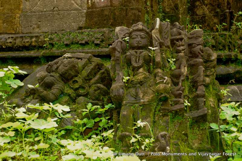 Polo Monuments And Vijaynagar Forest