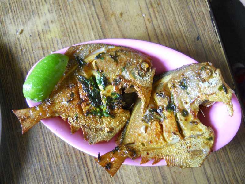 Pomfret Fry