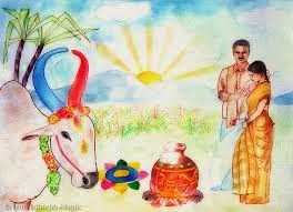 Pongal And The Celebrations Of India