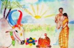 Pongal and the celebrations of India