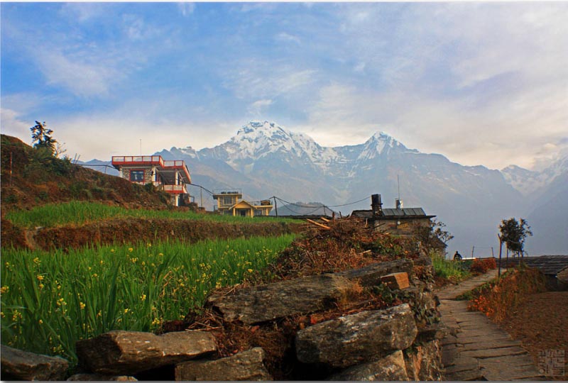 Poon Hill Trek, Short And Sweet Destination Of Ghorepani Nepal