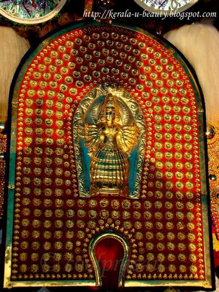 Pooram Pictures - 7 : Bhagavati Devi Carried During Thiruvilwamala Thalappoli Pooram....