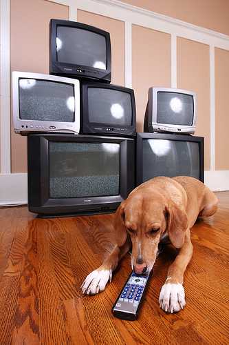 Popular Television Shows Can Be Your Blog Topic