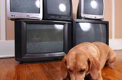 Popular Television Shows can be your Blog Topic