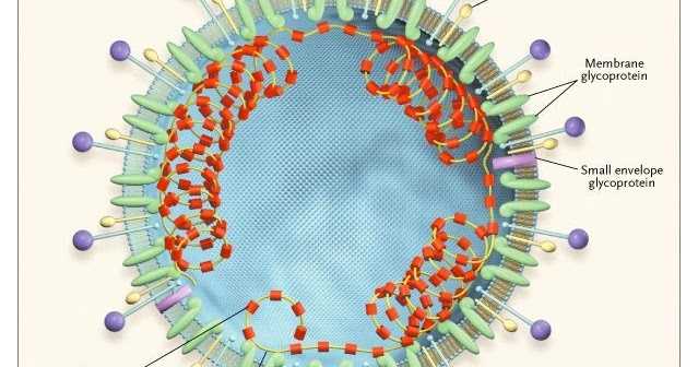 Positivity In Corona Pandemic!