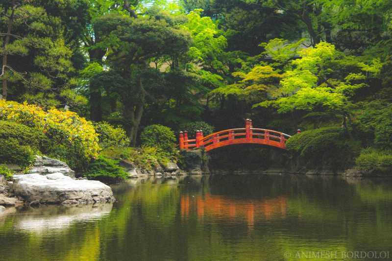 Postcards From Japan : Zen Gardens