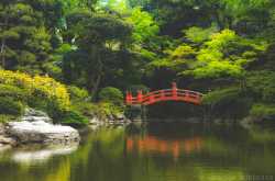 Postcards from Japan : Zen gardens