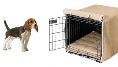 Potential Problem With Crating A Puppy