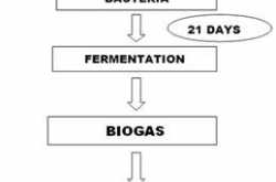 Power from Cow dung - DIY - AF