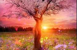 Prana | Mr Worldling