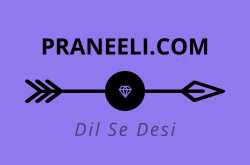Praneeli Review: A Surprising Pleasant Shopping Experience - Ask For Style