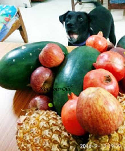 Pranic Diet For All Round Well Being