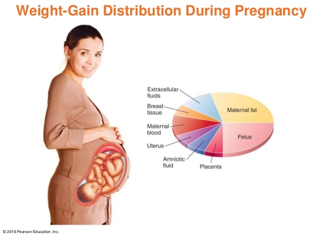 Pregnancy Woes: Weight Gain And How To Balance It