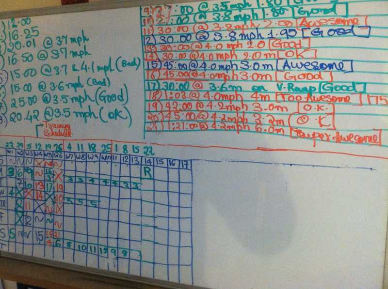 Preparing For Toledo Glass City Half Marathon