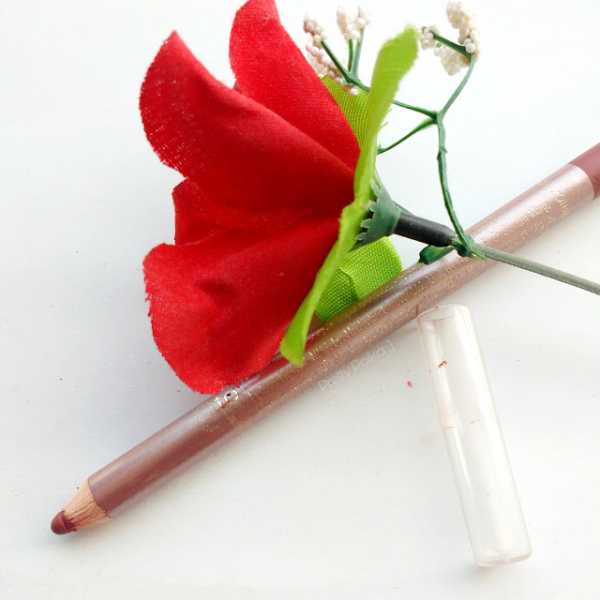 Pretty Polka: Lakme 9 To 5 Lip Liner Brick Rose Review, Swatches