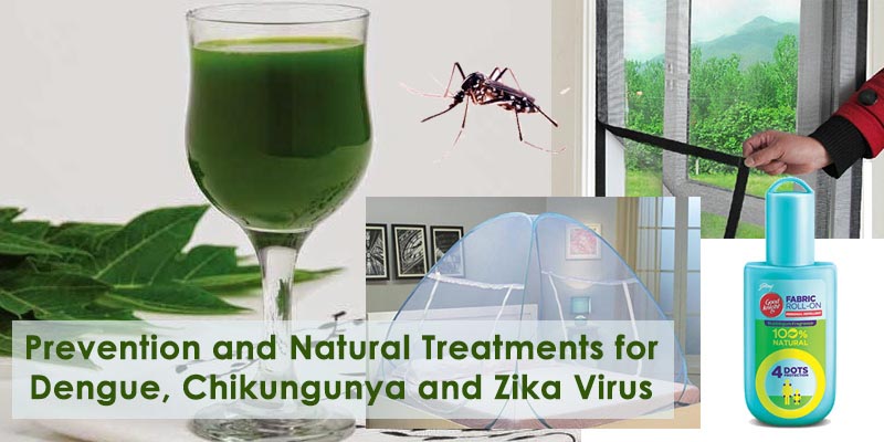 Prevention And Natural Treatments For Dengue, Chikungunya And Zika Virus - HiLife Social