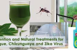 Prevention and Natural Treatments for Dengue, Chikungunya and Zika Virus - HiLife Social