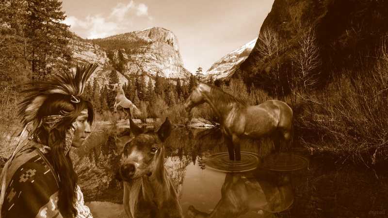 Primitivism In 20th Century Literature