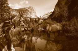 Primitivism in 20th century literature