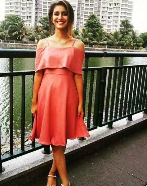 Priya Prakash Varrier Age, Photos And Biography - WiKsan