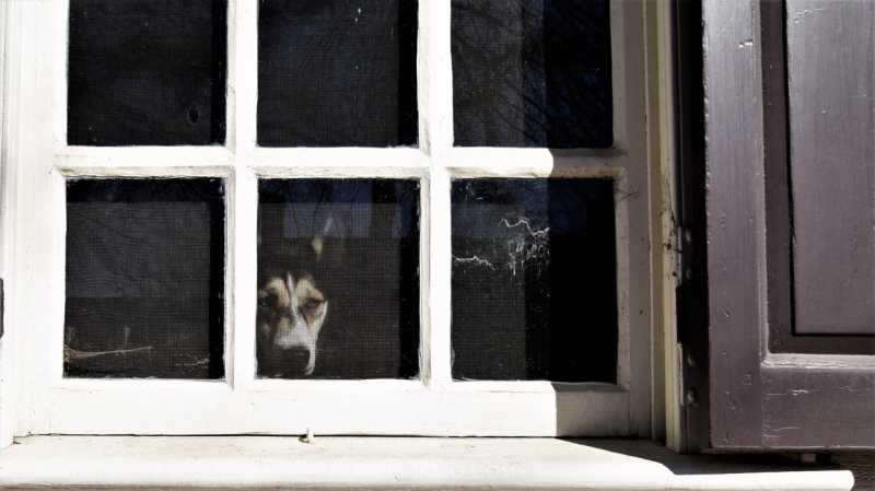 Pro-Photographer: 3 Ways To Become Serious Entrepreneur > Photography Williamsburg, VA