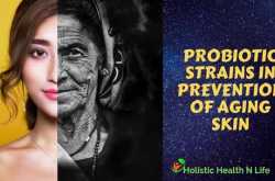 Probiotic strains in prevention of skin aging