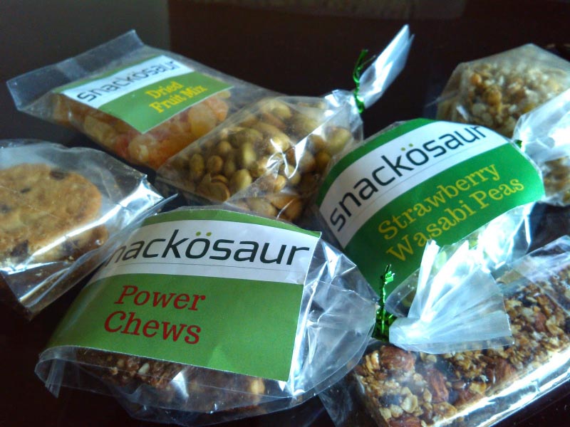 Product Review - Snackosaur (healthy Snacking)